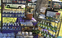 Santa Barbara Vibrational Essence Therapy