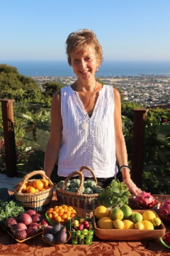 Nutritional Counseling, Energy Healing & Aromatherapy in Santa Barbara