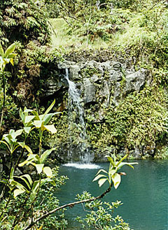 Breathwork workshop in Maui, Hawai'i with Anastasia, February 16 - 23, 2008