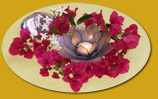 Reflexology in Santa Barbara by Petra Deker
