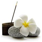 Santa Barbara Spa Services