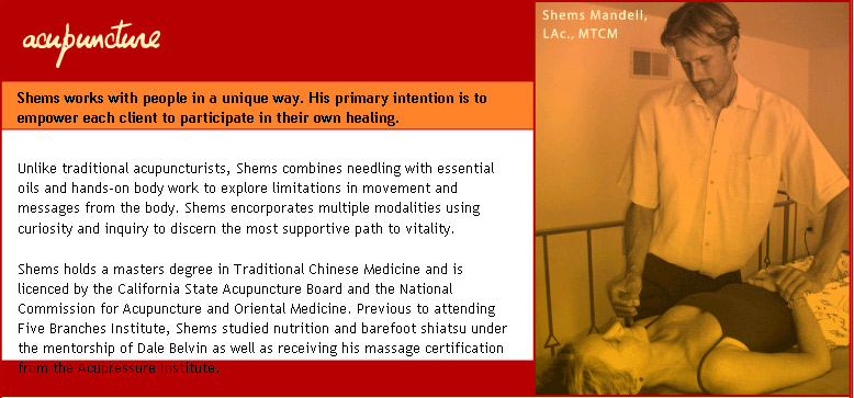 Acupuncture in Santa Barbara by Shems Mandell and The Infinite Playground