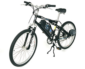 Lashout Electric Bicycle