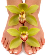 Ion Detox Foot Spa Santa Barbara