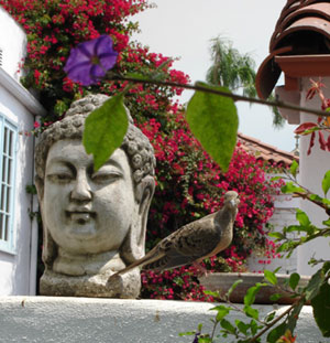 Meta-Consciousness in Santa Barbara - Cynthia LoRe