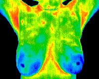 Santa Barbara Digital Infrared Thermography Imaging