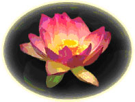 Chandel's Acupressure Clinic in Burlington, Washington
