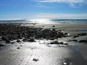 Santa Barbara Holistic Body-Mind Therapy by Fleur Nelson