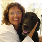 Holistic Pet Care in Santa Barbara - Artemis Animal Clinic