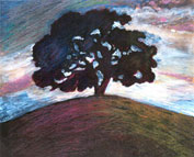 Sharron Rose - Fine Art
