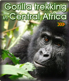 East Africa Safaris; Kenya, Tanzania, Uganda Mountain Adventure Tours
