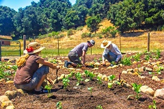Santa Barbara Permaculture Classes