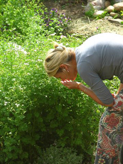 Floral Arrangement for Events, Homes and Gardens in Santa Barbara and Montecito by Vivi Teston